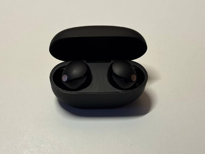 Наушники Sony WF-1000XM5 wireless с чехлом и насадками 2