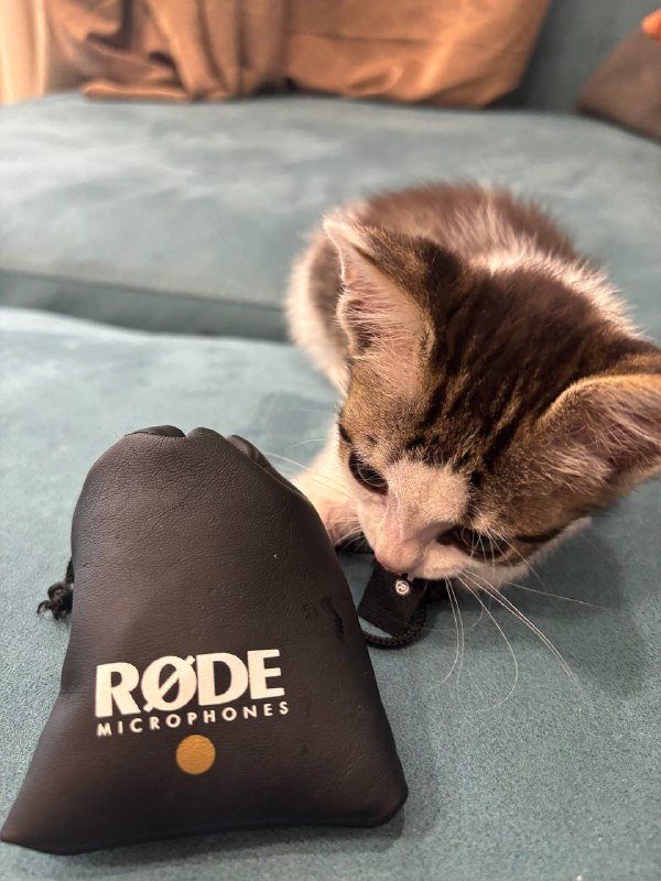 Петличный микрофон Rode 2