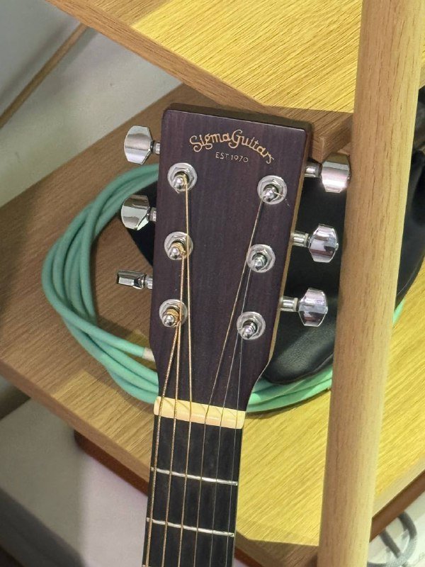 Гитары SigmaGuitars TM-12E, GTRS s800 и синтезатор Sequential Take 5 9