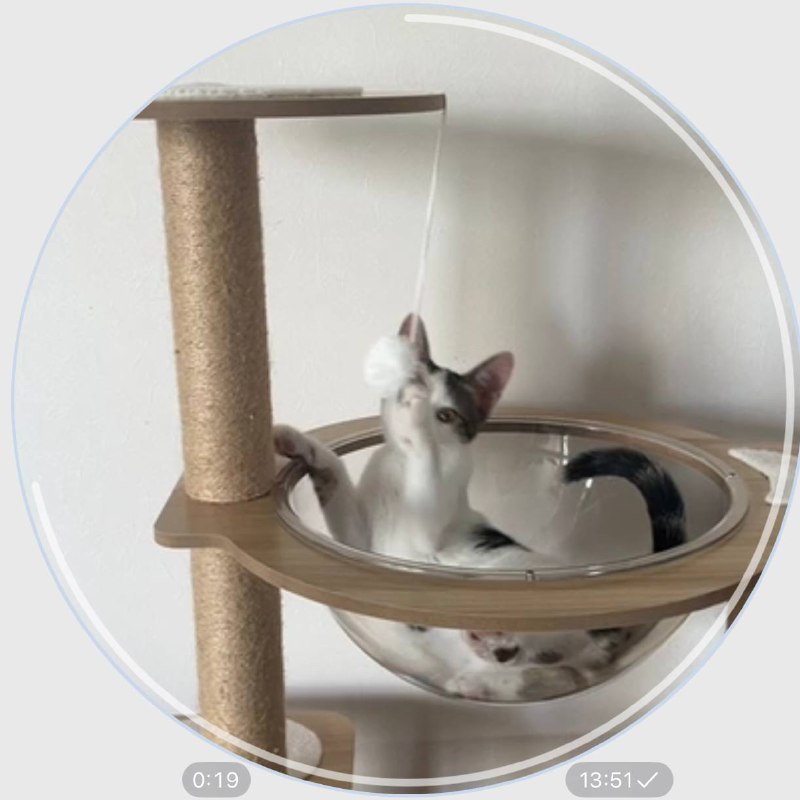 Многоуровневая игровая башня когтеточка для кошек и котят 3