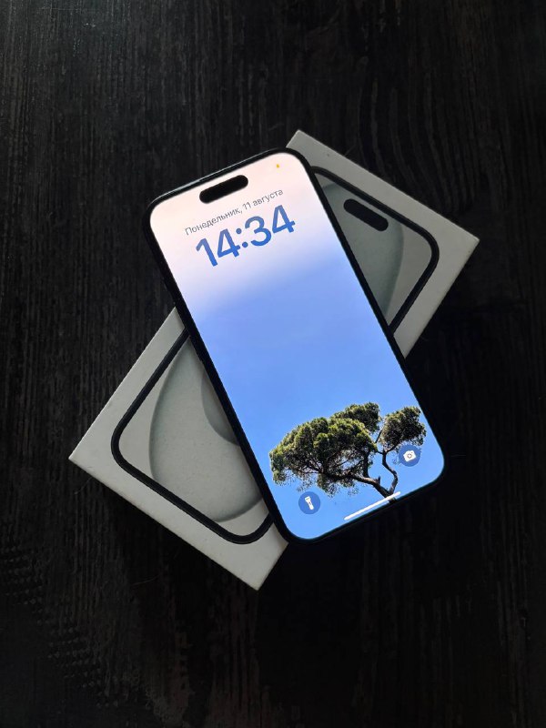 iPhone 15