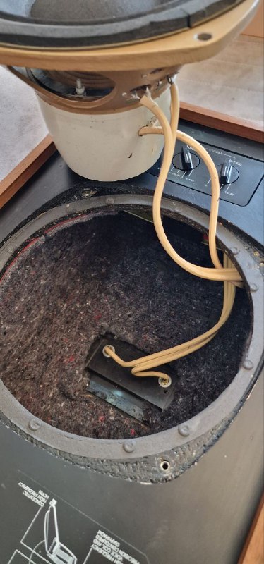 Акустика Tannoy Eaton HPD 295 5