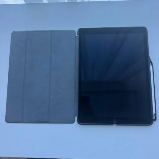iPad Pro 12.9, ручка