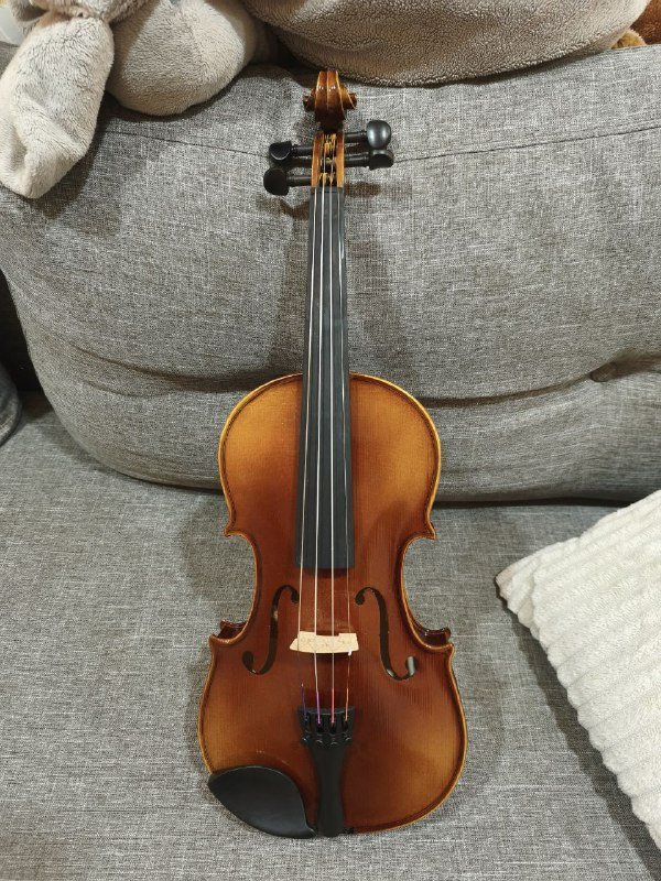 Скрипка Roth & Junius RJV-S Student Violin Set 4/4 с футляром 3