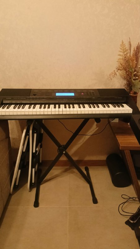 Синтезатор Casio CTK 5000 со стойкой 4