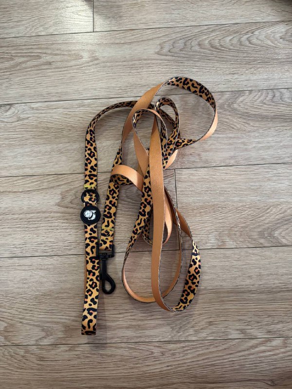 Комплект для собаки: шлейка + 2 поводка 3 метра 2