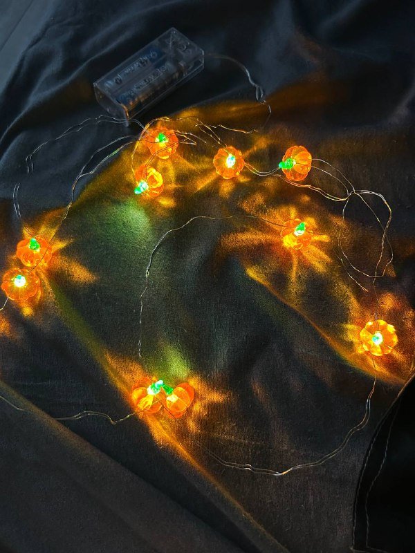 книги по испанскому, духи Versace, органайзер, свеча, воротник для животных, шахматы, гирлянда 7