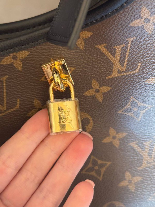 Сумка Louis Vuitton с шарфом и документами 4