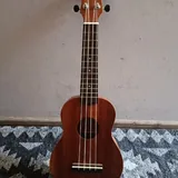 Укулеле 1