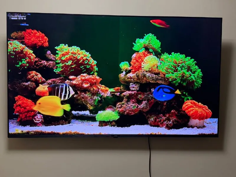 Телевизор AKAI 65" 1