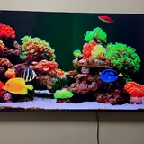 Телевизор AKAI 65" 1