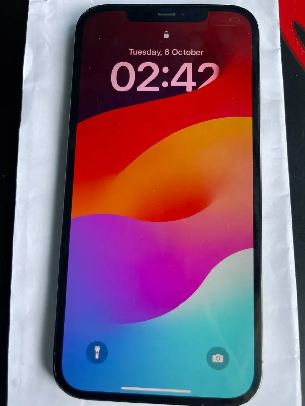 iPhone 12 Pro Max 256 ГБ 1