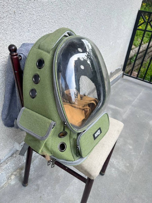 Рюкзак и лоток для кота