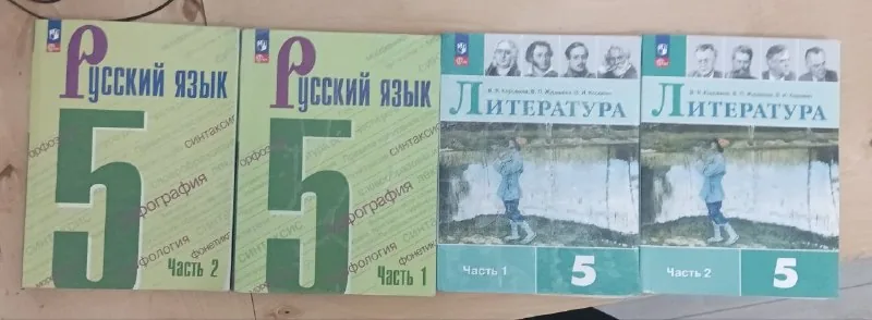 Учебники по русскому языку и литературе 5 класс