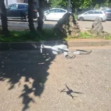 Дрон Corby Drones Zoom Ultimate 1
