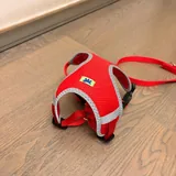 Корм Monge для кота 6