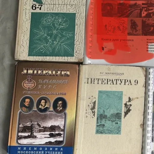 Школьные книги