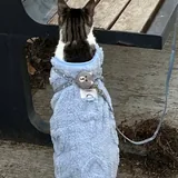 Костюм для кота, небольшой собаки 2