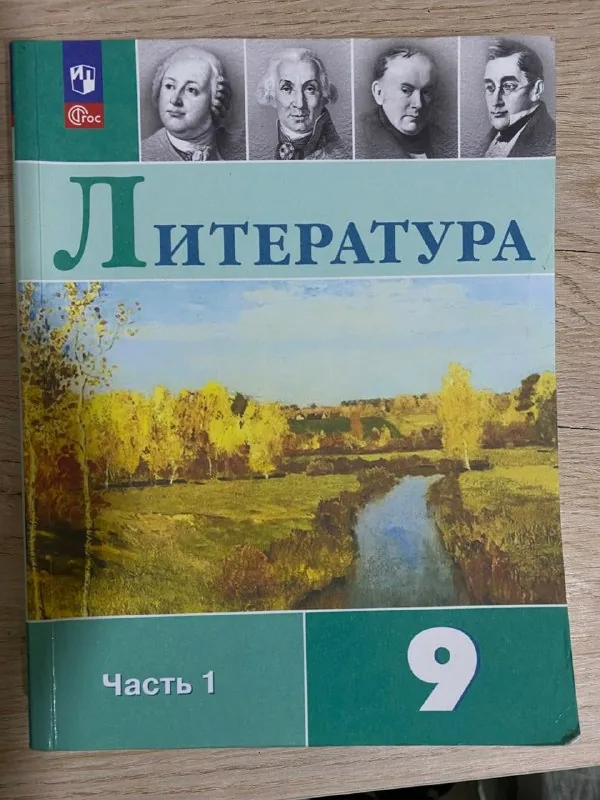 Учебники по русскому языку и литературе 1
