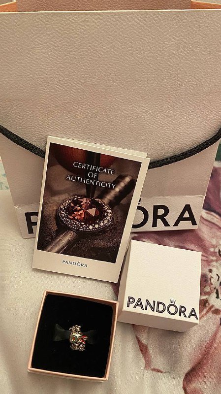 Шармики Пандора из линии Дисней Домик, Черепок