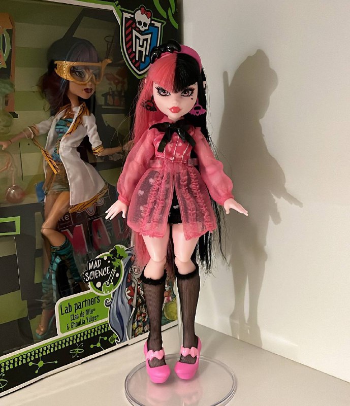 Куклы Monster High, Ever After High, Rainbow High, Bratz 3