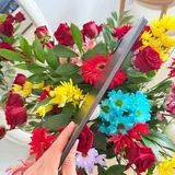 Xiaomi Pad 6, Xiaomi Smart Pen, чехол 3