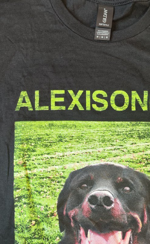 Футболка мерч Alexisonfire мужская M 2