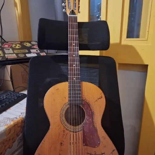Гитара Framus 77F