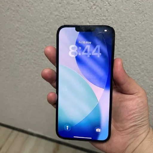 iPhone 13 Pro Max