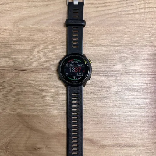 Garmin Forerunner 255 საათი