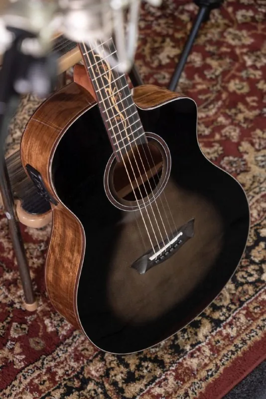 Электроакустическая гитара Washburn Bella Tono Vite S9V 1