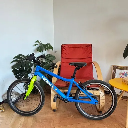 Велосипед Beagle 20", трюковой самокат Cityride, скейт-рыбка, футбольные бутсы Dolphin 36