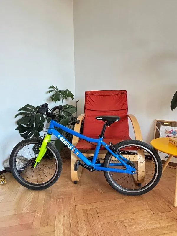 Велосипед Beagle 20", трюковой самокат Cityride, скейт-рыбка, футбольные бутсы Dolphin 36 1