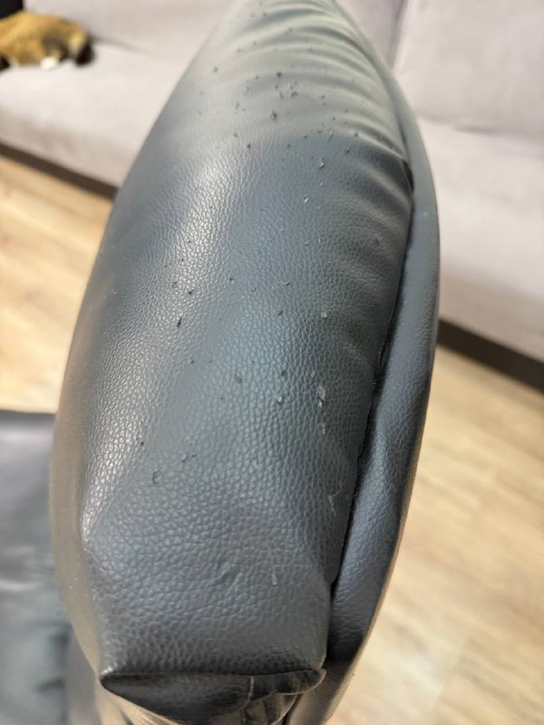 Кресло босса, немного подранное котиками 3