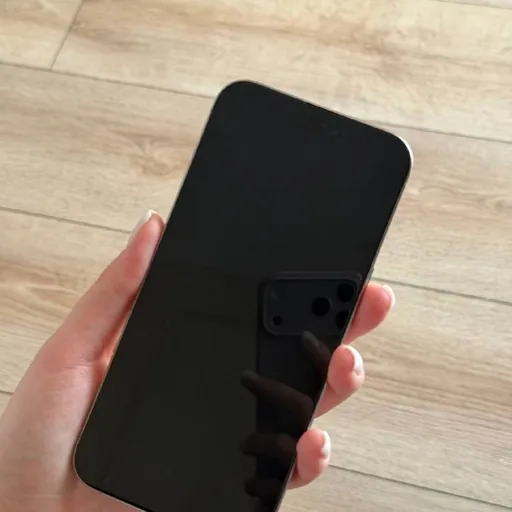iPhone 15 Pro Max 256 GB