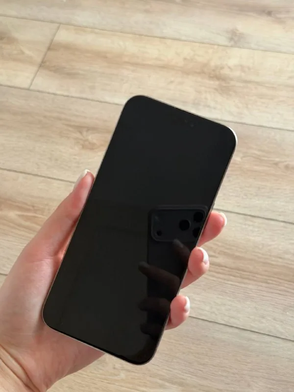 iPhone 15 Pro Max 256 GB 1