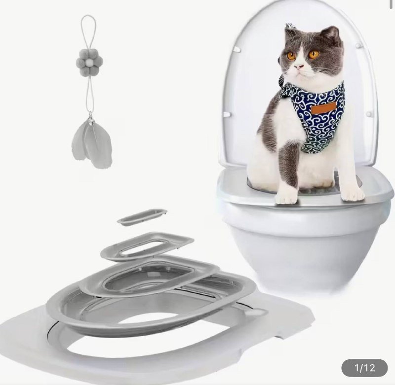 Приучатель кота к туалету