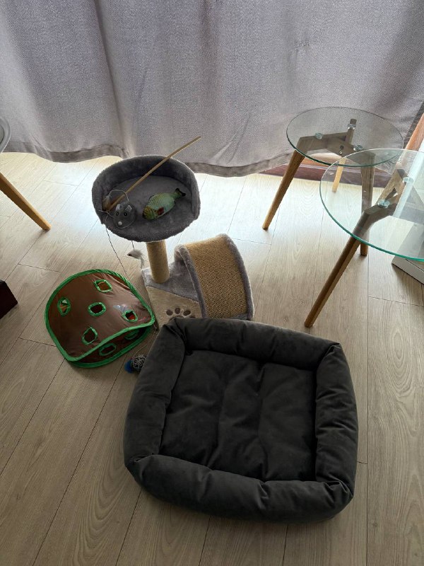 Игрушки для кота, лежанка и когтеточка