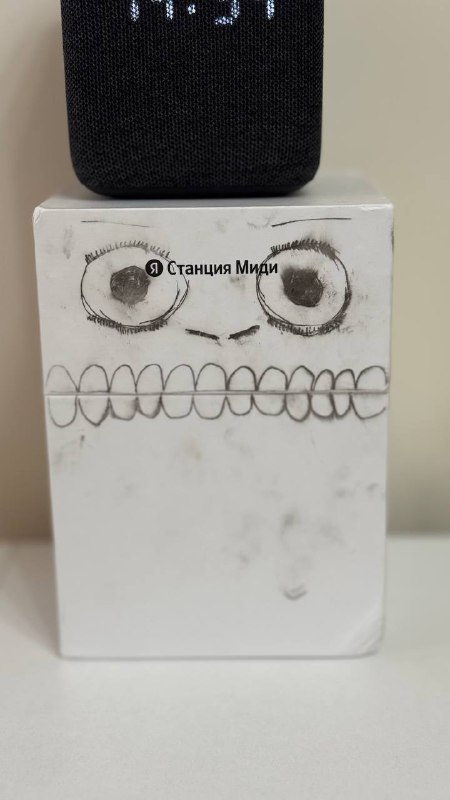 MicroSD Kingston Canvas Go! Plus на 512 GB, Яндекс Станция Миди, AirPods 2 3