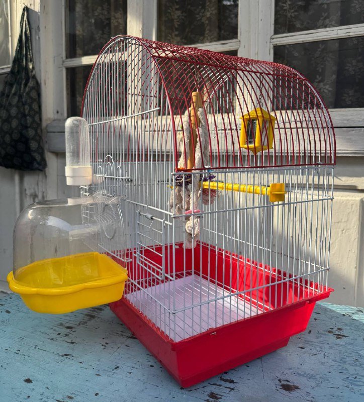Клетка для попугая со всеми аксессуарами 2