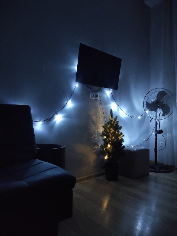 Новогодняя елка, гирлянда, тонометр, электрочайник, коврик для йоги 4