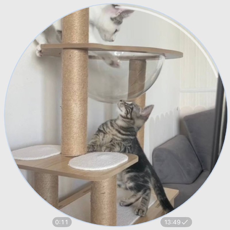 Многоуровневая игровая башня когтеточка для кошек и котят 2