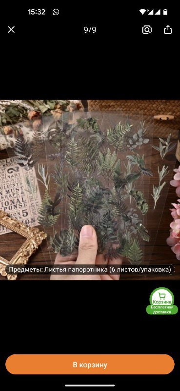 Наклейки папоротник, наклейки котики, лежанка котика, палка-хваталка, швабра, банка сгущенки 2