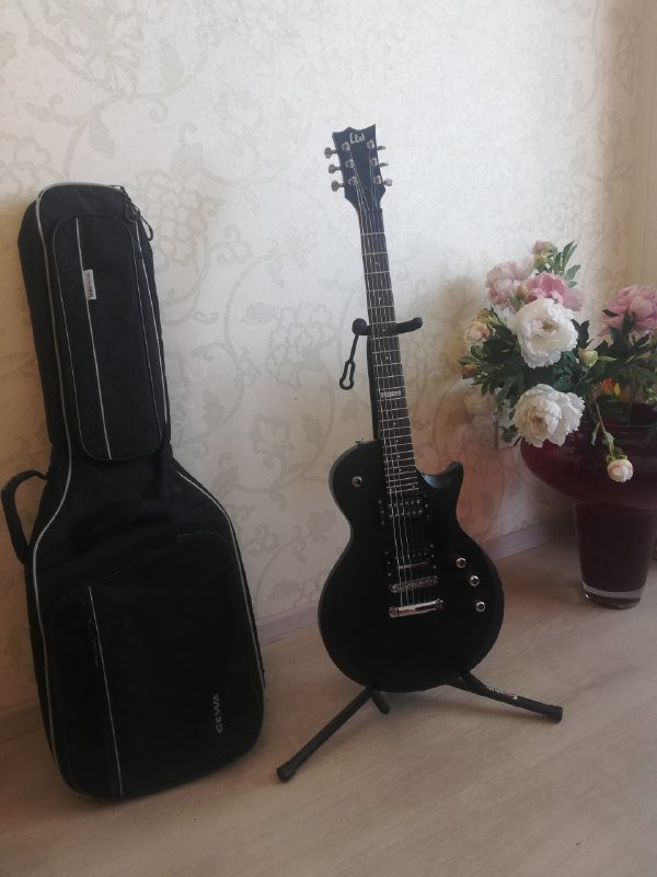 Электрогитара LTD EC-50, ламповый преамп, квадрокоптер Dji Mavic Air 2