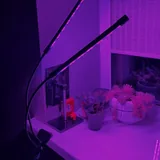 Фитолампа для растений 6