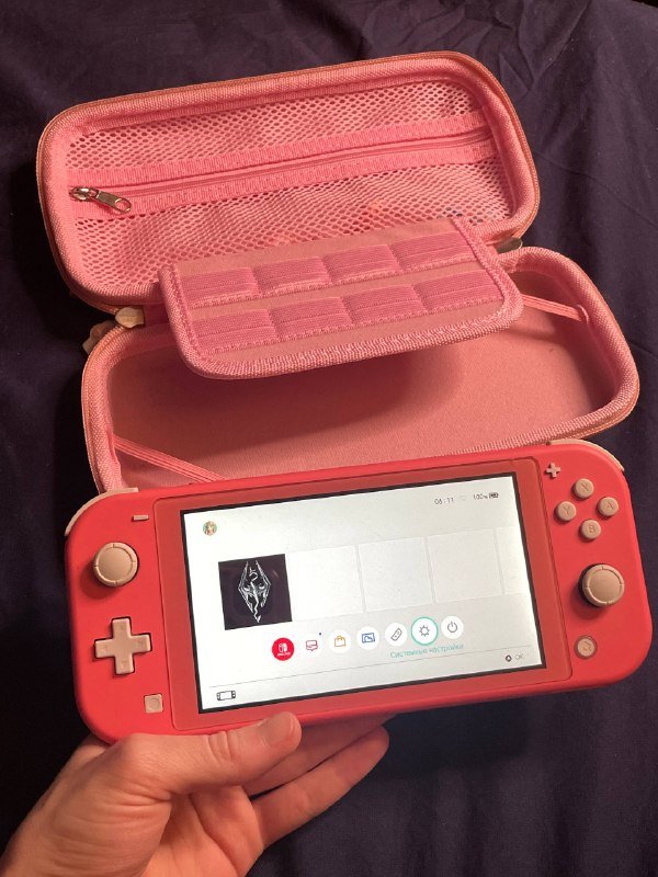 Nintendo Switch Light, игра Skyrim, чехол, насадки, зарядка 5