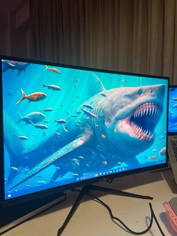 JAMES DONKEY CURVED RION R10 24” 165HZ
