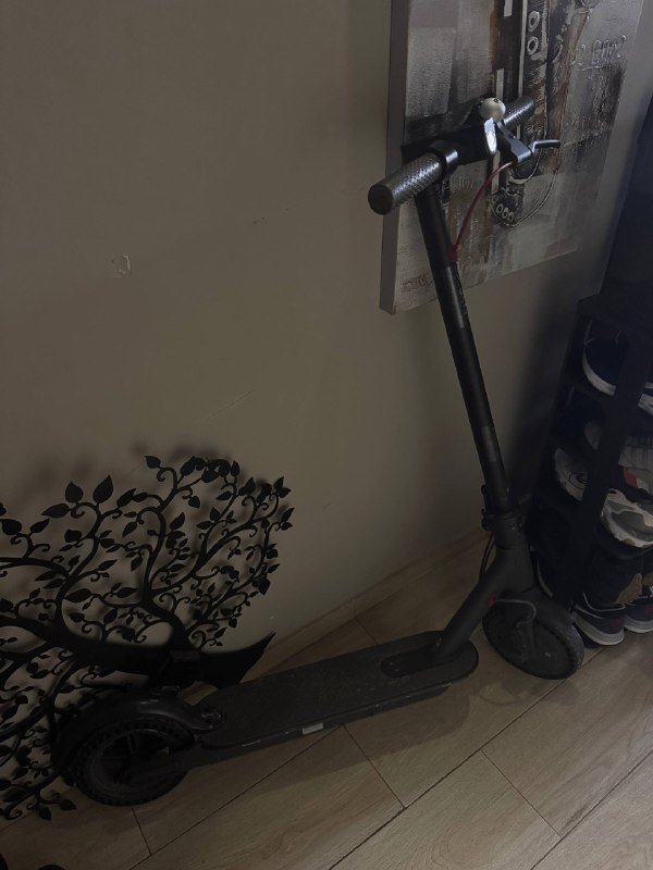 Xiaomi M365 с зарядкой