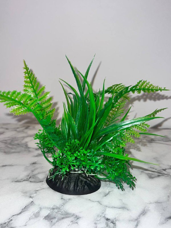 Анатомическая шлейка, поводок, маска от колтунов, расческа, воск, когтерез, декоративное растение 7