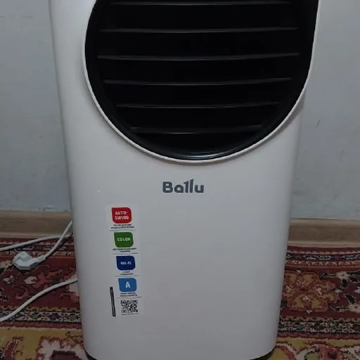 Мобильный кондиционер Ballu BPAC-10 EPW/N6